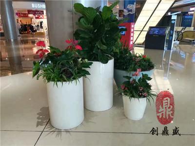 玻璃钢花盆花箱014